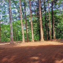 【都留市内学生歓迎】登録制・都留市アウトドア施設内及び出張現場での軽作業の画像