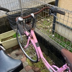 自転車2台の画像