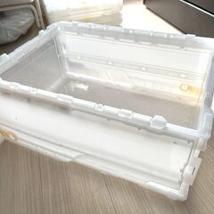 【商談中】薄型折りたたみコンテナ フタ付 30L / 50L 各種2個
