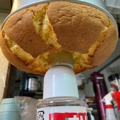 シフォンケーキよく作る人又は詳しい人