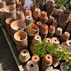 中古の植木鉢いっぱい　お値下げしました　30個500円〜