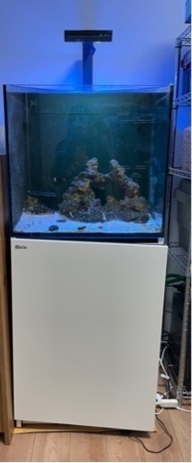 水槽　Red Sea MAX170 値引きしました！