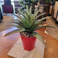 ミニ観葉植物・アロエ・フェイクすの画像