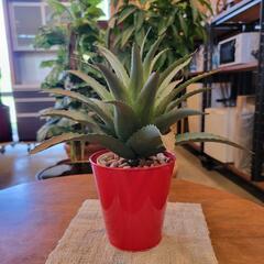 ミニ観葉植物・アロエ・フェイクす