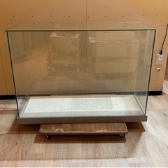 ガラスショーケース譲ります