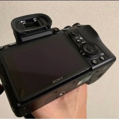 SONY α‬7Ⅲ ミラーレス一眼レフの画像