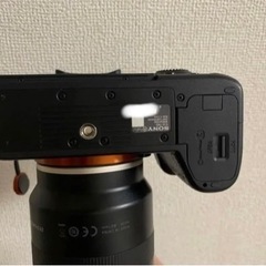 SONY α‬7Ⅲ ミラーレス一眼レフの画像