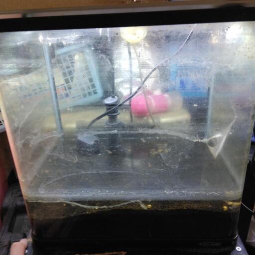 水槽