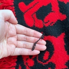 赤いマフラー　FELIXの画像