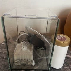 フィルターとポンプのみ！の画像