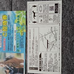 乗馬試乗会・ご招待券２枚の画像