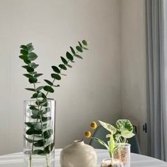 ZARA HOME 花瓶の中古が安い！激安で譲ります・無料であげます