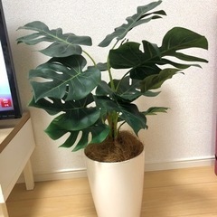 かわいいフェイクグリーン🌿💓高さ60cm!の画像