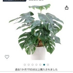 かわいいフェイクグリーン🌿💓高さ60cm!の画像