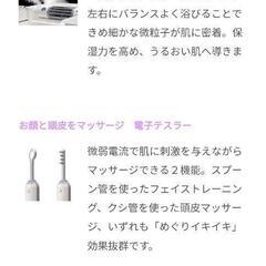 サキナ　美顔器の画像