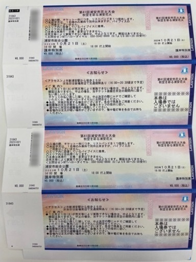 第41回浦安市花火大会 護岸特別席 2枚