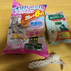 猫用グッズ