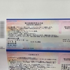 第41回浦安市花火大会 護岸特別席 2枚の画像