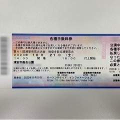 第41回浦安市花火大会 護岸特別席 2枚の画像