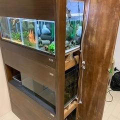 【決まりました】水槽台+水槽5個セット APAPの画像