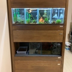 【決まりました】水槽台+水槽5個セット APAP