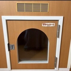 サンテックビオズバイオコンク未開封2本入り