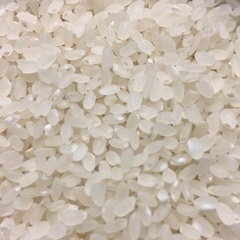 お米 20kg