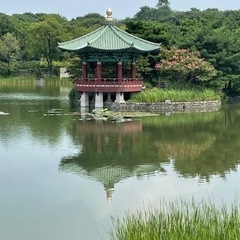 会話が楽しい韓国語レッスン✨✨✨の画像