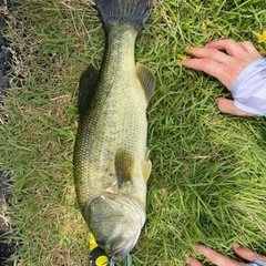 バス釣り