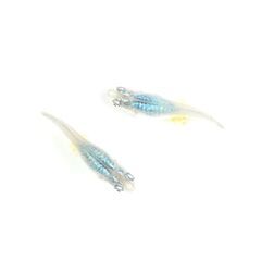 メダカ　深海　17匹1000円の画像