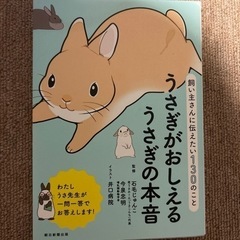 おもちゃ ポータブルゲーム ニンテンドーDS,3DS