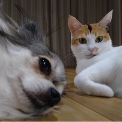 【洋裁教室】3名様予約済　の画像