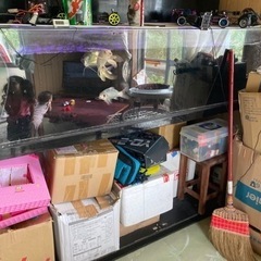 大型アクリル水槽