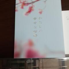 わたしの幸せな結婚