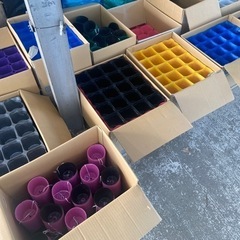 カラーポット色々の画像