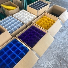 カラーポット色々の画像