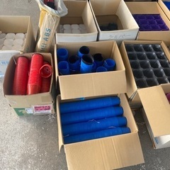 カラーポット色々の画像