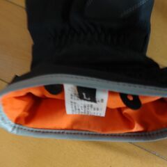GOLDWIN  GORE-TEX　グローブ　の画像