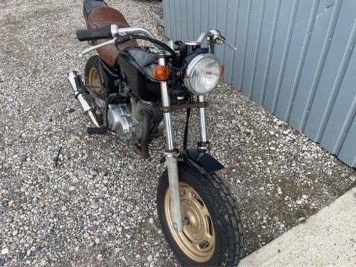 エイプ100‼️FX仕様‼️今回限り‼️