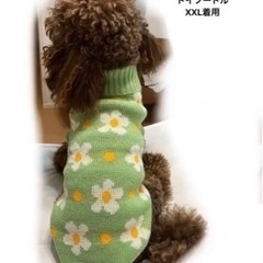 犬用 ニット タートルネックMの画像