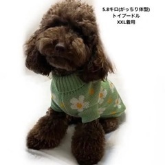 犬用 ニット タートルネックMの画像
