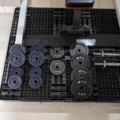 取引中、ダンベル、バーベル、ワイルドフィットウエイト