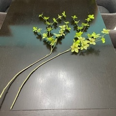ドウダンツツジ　　アーティシャル