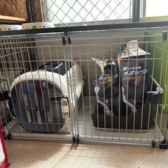 犬のゲージなど