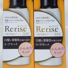 リライズ 白髪用髪色サーバー リ・ブラック