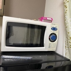 電子レンジ(決まってる)