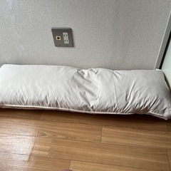 急募2人用？ロング枕