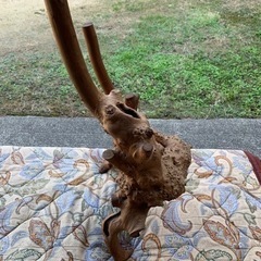 木の株の画像