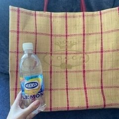 TOCCA 麻バッグ　ほぼ未使用の画像