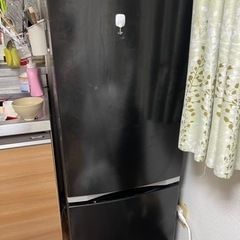 冷蔵庫　決まってる